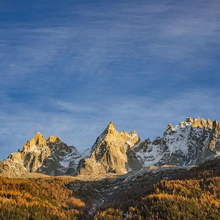 Alpine Garden - Truly Hidden Gem With Sunny Garden In Town Center Apartamento *